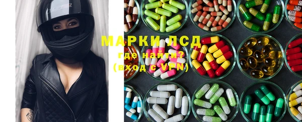 шишки Аркадак