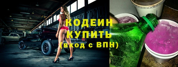 шишки Аркадак